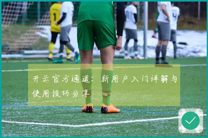 开云官方通道：新用户入门详解与使用技巧分享