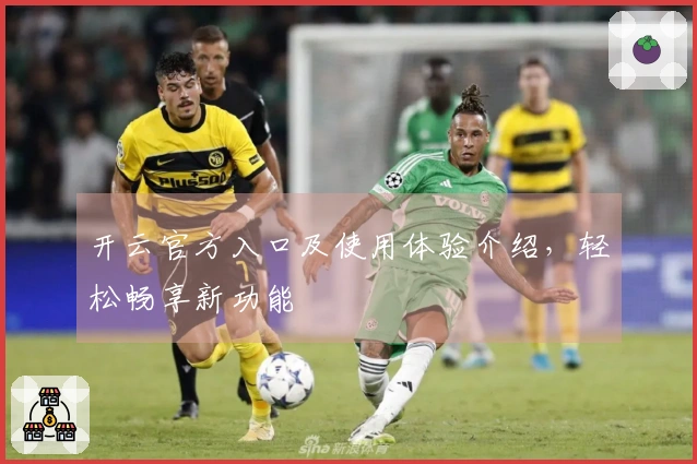 开云官方入口及使用体验介绍，轻松畅享新功能